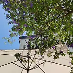 Mali Raj בקרץ